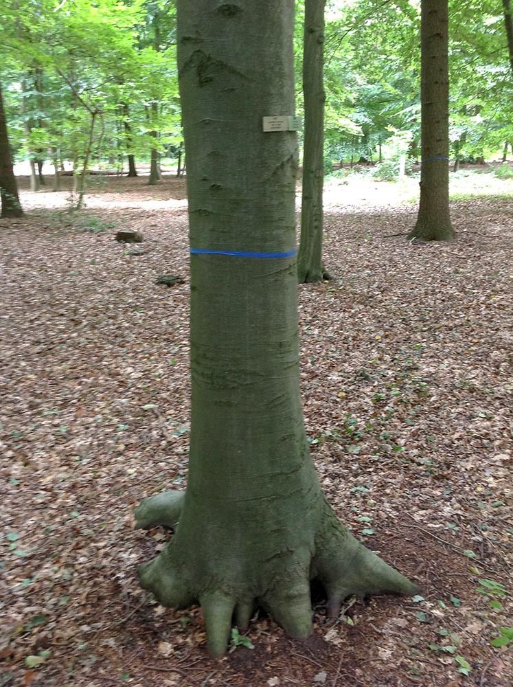 Impressionen des Bastattungshauses Homburg-Sieks aus Bünde